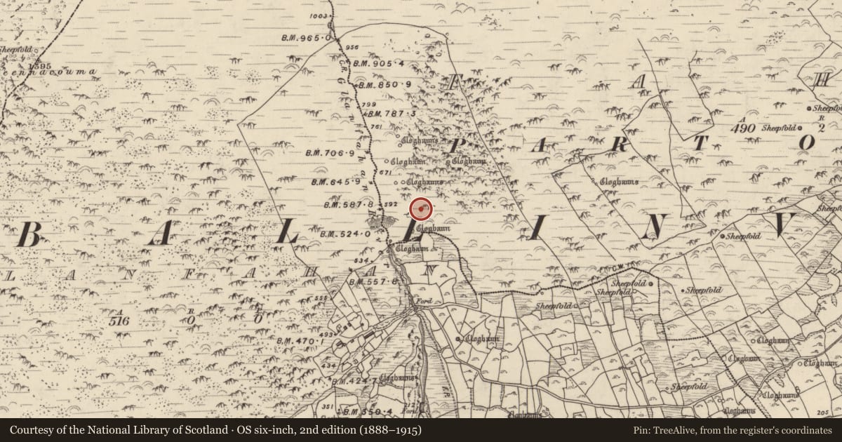 Ordnance Survey six-inch map, 2nd edition (1888–1915) covering the location of Hut site, Fán, County Kerry, with a pin at the register's coordinates