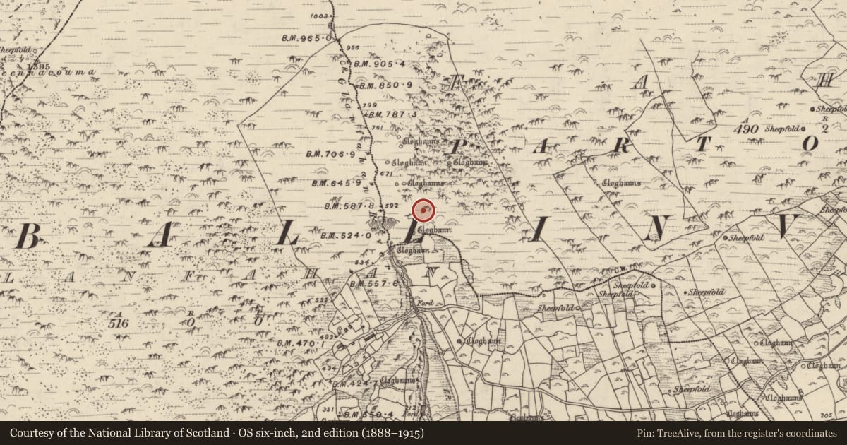 Ordnance Survey six-inch map, 2nd edition (1888–1915) covering the location of Hut site, Fán, County Kerry, with a pin at the register's coordinates