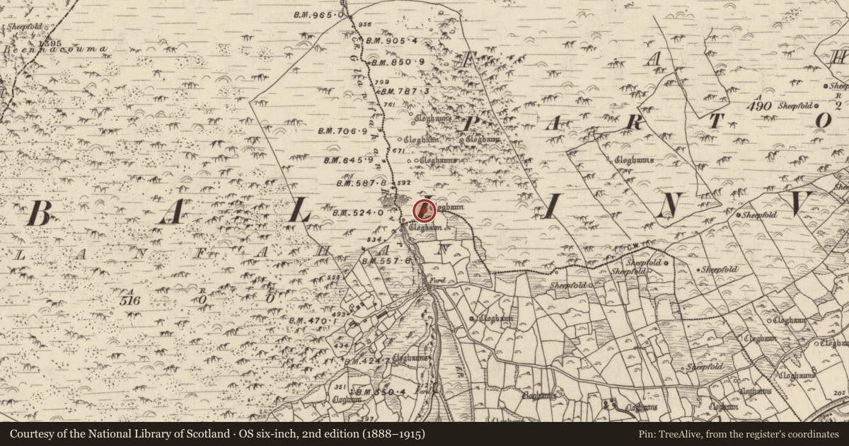 Ordnance Survey six-inch map, 2nd edition (1888–1915) covering the location of Hut site, Fán, County Kerry, with a pin at the register's coordinates