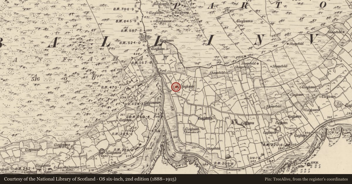 Ordnance Survey six-inch map, 2nd edition (1888–1915) covering the location of Hut site, Gleann Fán, County Kerry, with a pin at the register's coordinates