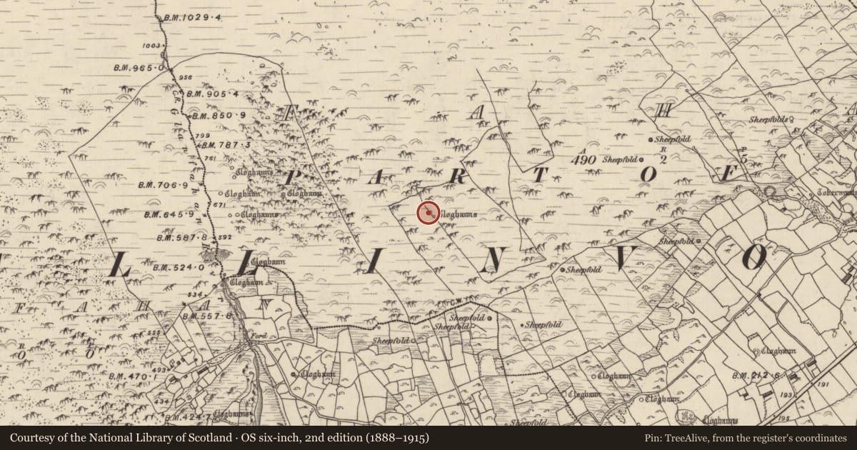 Ordnance Survey six-inch map, 2nd edition (1888–1915) covering the location of Hut site, Fán, County Kerry, with a pin at the register's coordinates