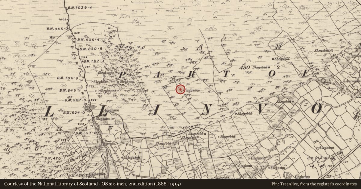 Ordnance Survey six-inch map, 2nd edition (1888–1915) covering the location of Hut site, Fán, County Kerry, with a pin at the register's coordinates