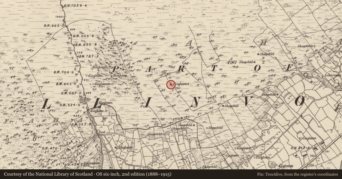 Ordnance Survey six-inch map, 2nd edition (1888–1915) covering the location of Hut site, Fán, County Kerry, with a pin at the register's coordinates