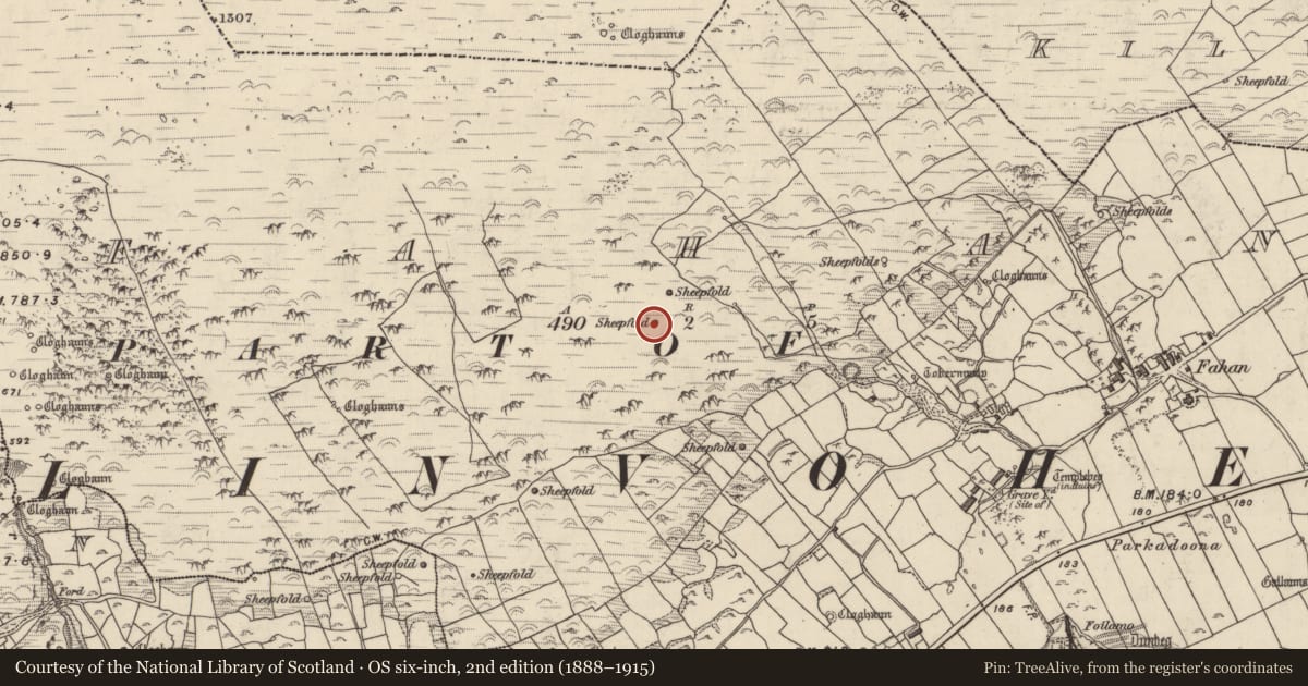 Ordnance Survey six-inch map, 2nd edition (1888–1915) covering the location of Hut site, Fán, County Kerry, with a pin at the register's coordinates