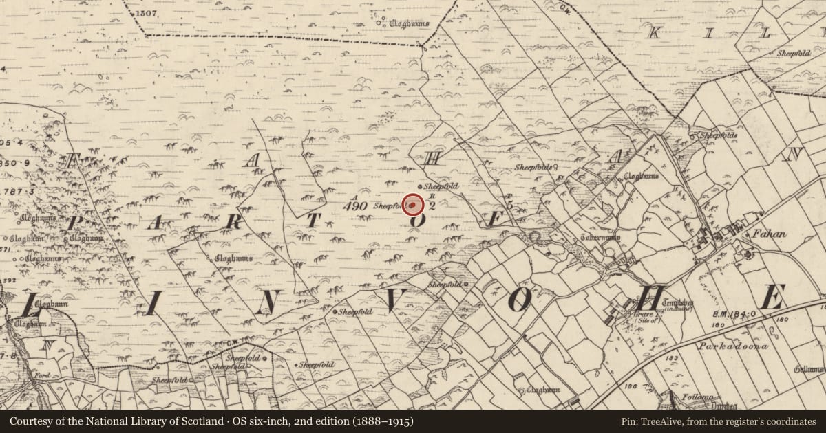 Ordnance Survey six-inch map, 2nd edition (1888–1915) covering the location of Hut site, Fán, County Kerry, with a pin at the register's coordinates