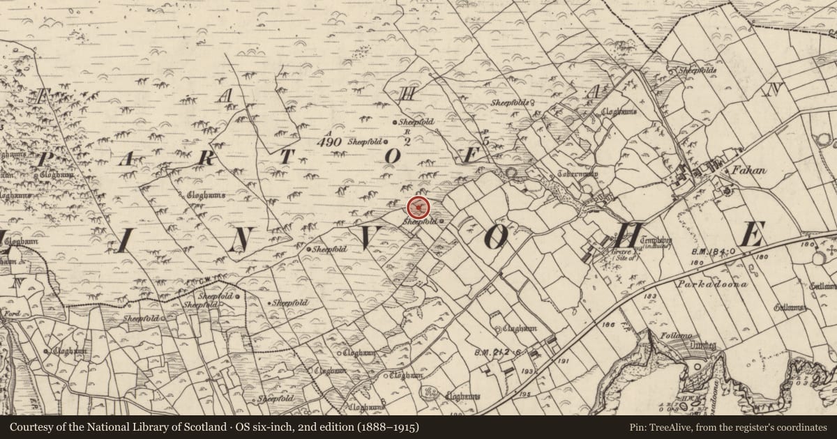 Ordnance Survey six-inch map, 2nd edition (1888–1915) covering the location of Hut site, Fán, County Kerry, with a pin at the register's coordinates