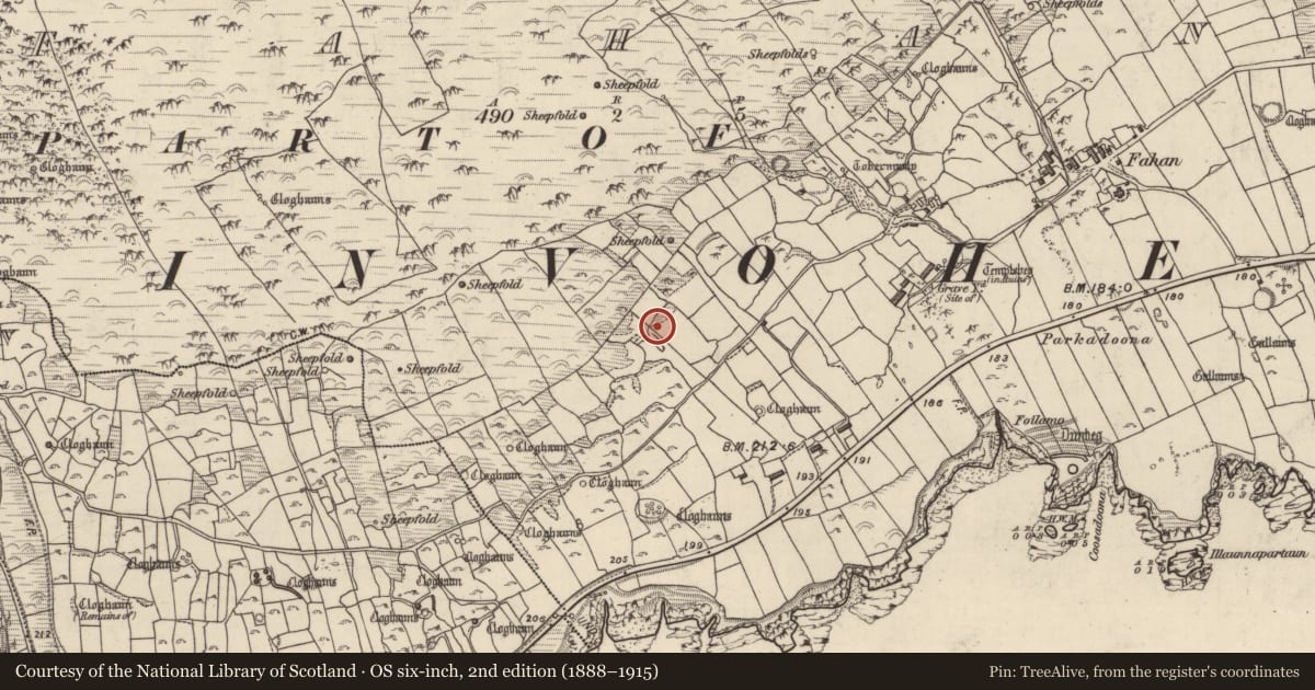 Ordnance Survey six-inch map, 2nd edition (1888–1915) covering the location of Hut site, Fán, County Kerry, with a pin at the register's coordinates
