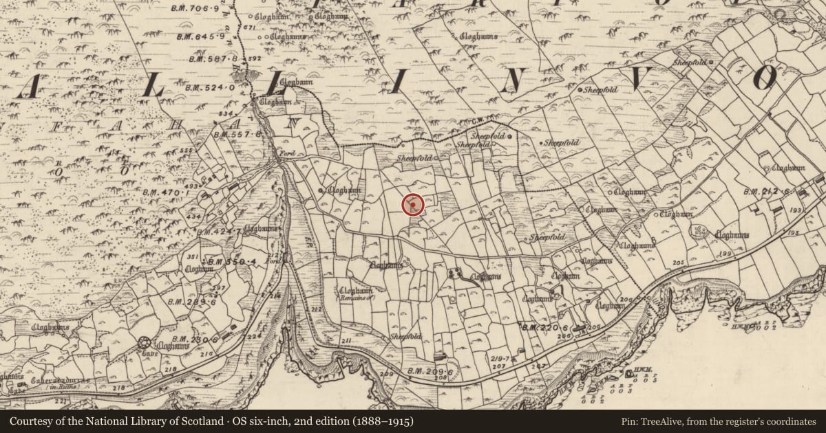Ordnance Survey six-inch map, 2nd edition (1888–1915) covering the location of Souterrain, Gleann Fán, County Kerry, with a pin at the register's coordinates