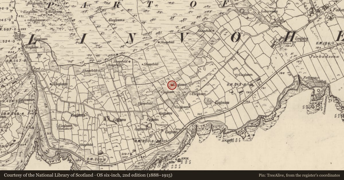 Ordnance Survey six-inch map, 2nd edition (1888–1915) covering the location of Clochan, Fán, County Kerry, with a pin at the register's coordinates