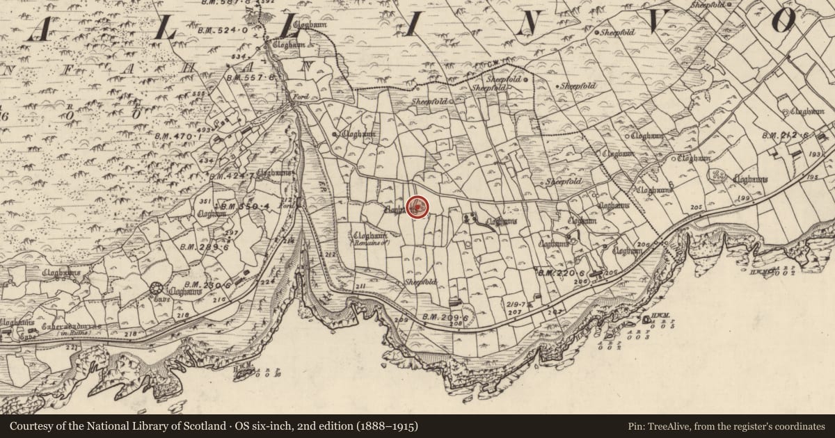 Ordnance Survey six-inch map, 2nd edition (1888–1915) covering the location of Hut site, Gleann Fán, County Kerry, with a pin at the register's coordinates