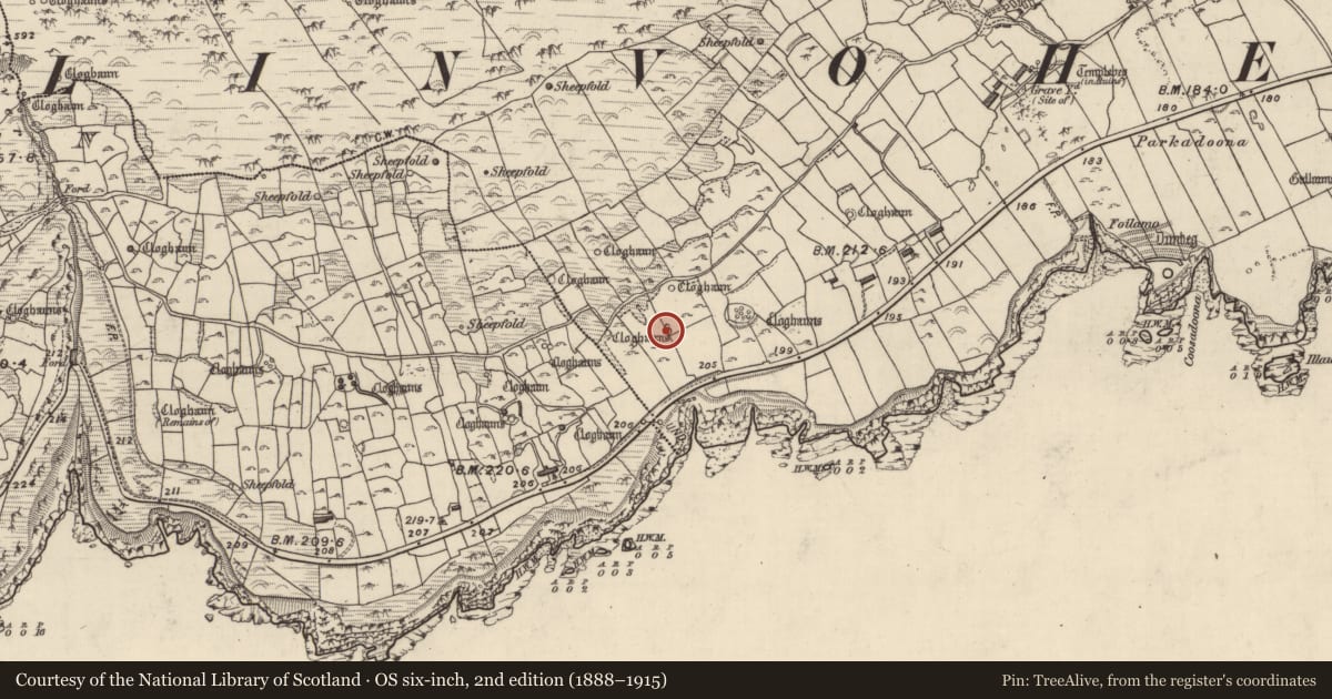 Ordnance Survey six-inch map, 2nd edition (1888–1915) covering the location of Hut site, Fán, County Kerry, with a pin at the register's coordinates