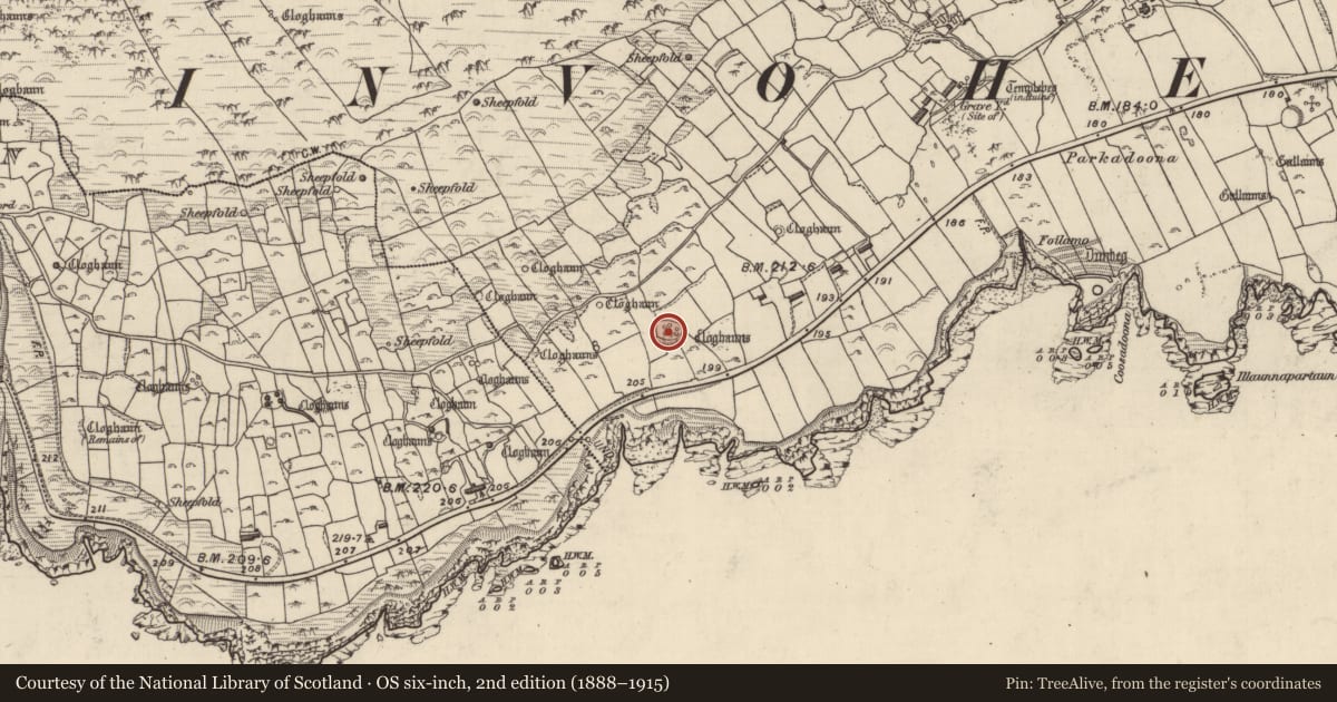 Ordnance Survey six-inch map, 2nd edition (1888–1915) covering the location of Ringfort - cashel, Fán, County Kerry, with a pin at the register's coordinates