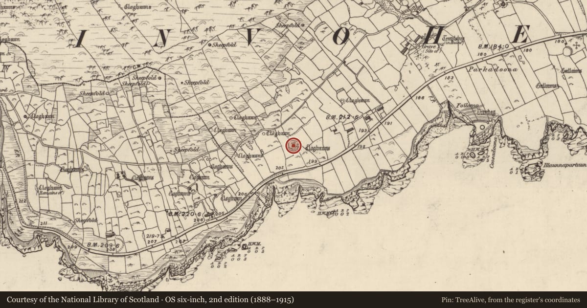 Ordnance Survey six-inch map, 2nd edition (1888–1915) covering the location of Hut site, Fán, County Kerry, with a pin at the register's coordinates