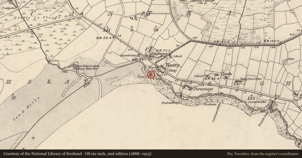 Ordnance Survey six-inch map, 2nd edition (1888–1915) covering the location of Bullaun stone (present location), Ceann Trá, County Kerry, with a pin at the register's coordinates