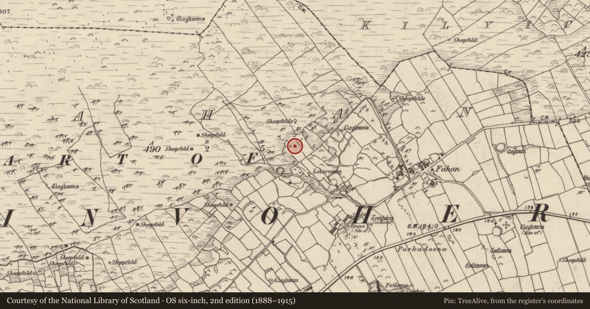 Ordnance Survey six-inch map, 2nd edition (1888–1915) covering the location of Hut site, Fán, County Kerry, with a pin at the register's coordinates
