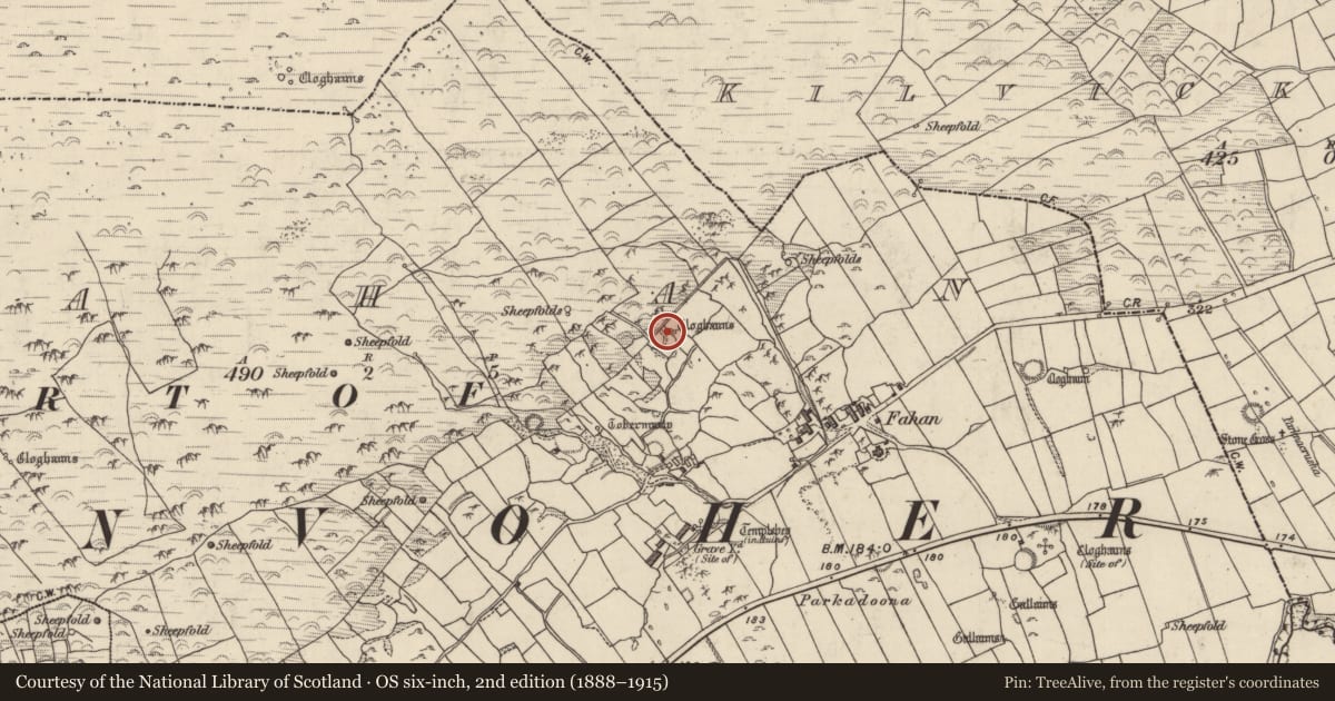 Ordnance Survey six-inch map, 2nd edition (1888–1915) covering the location of Hut site, Fán, County Kerry, with a pin at the register's coordinates