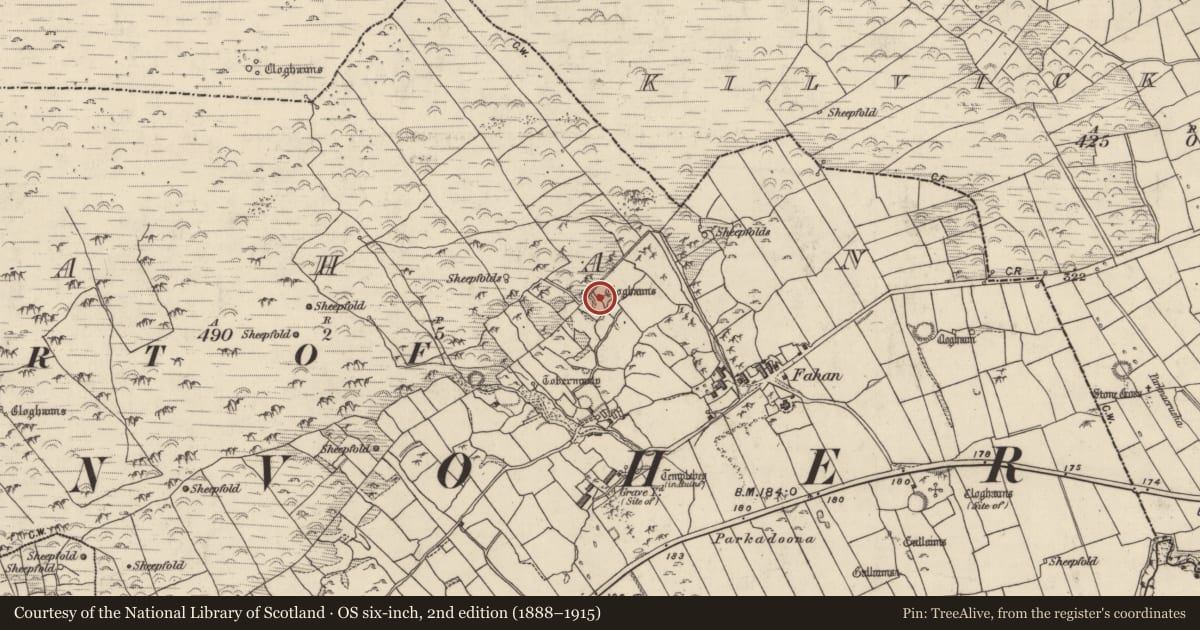 Ordnance Survey six-inch map, 2nd edition (1888–1915) covering the location of Hut site, Fán, County Kerry, with a pin at the register's coordinates