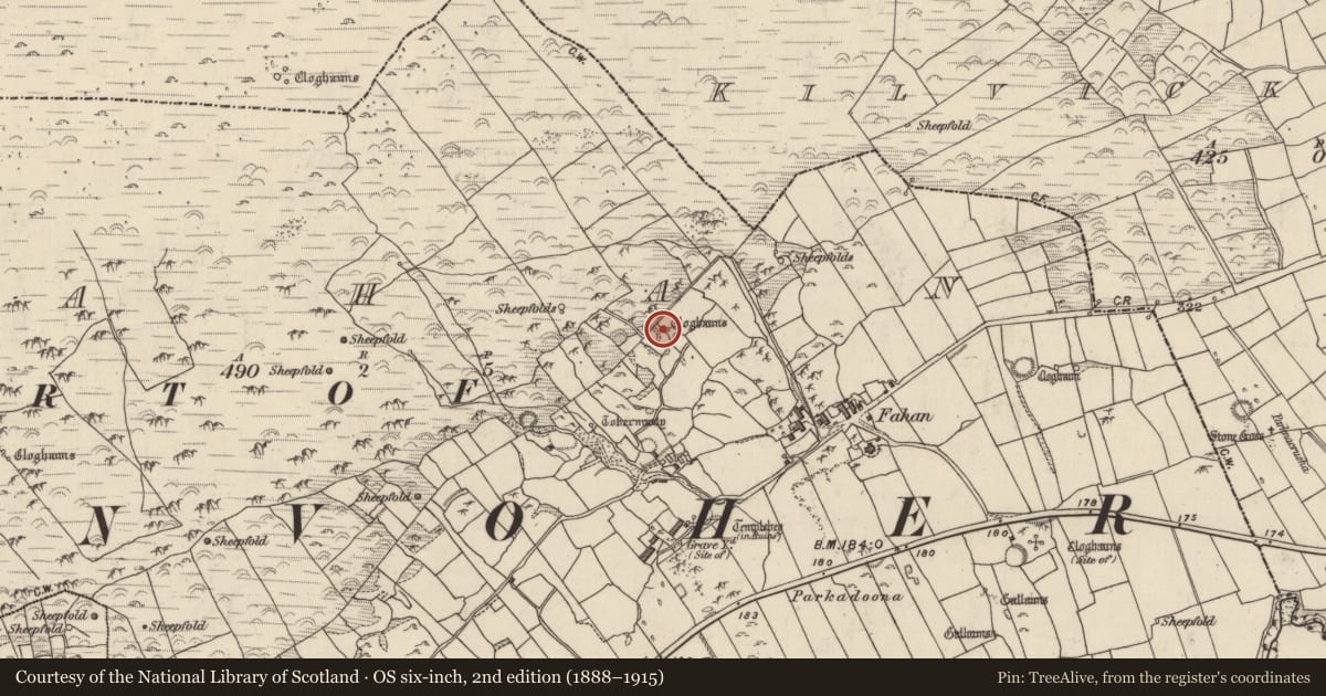 Ordnance Survey six-inch map, 2nd edition (1888–1915) covering the location of Hut site, Fán, County Kerry, with a pin at the register's coordinates