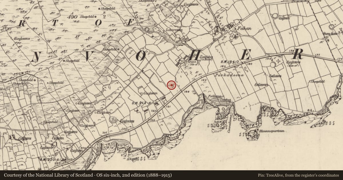 Ordnance Survey six-inch map, 2nd edition (1888–1915) covering the location of Cross-inscribed stone, Fán, County Kerry, with a pin at the register's coordinates