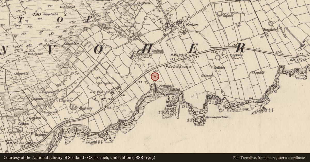 Ordnance Survey six-inch map, 2nd edition (1888–1915) covering the location of Rock art, Fán, County Kerry, with a pin at the register's coordinates