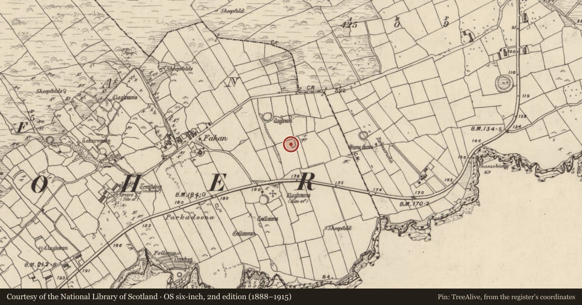 Ordnance Survey six-inch map, 2nd edition (1888–1915) covering the location of Clochan, Fán, County Kerry, with a pin at the register's coordinates