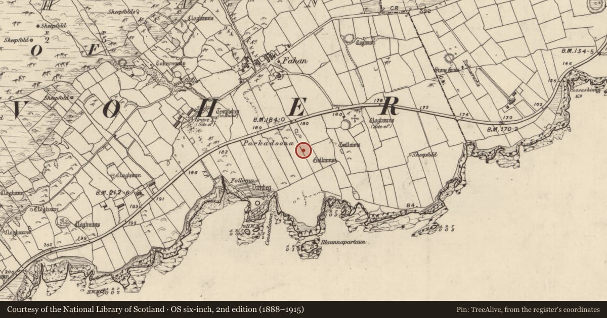 Ordnance Survey six-inch map, 2nd edition (1888–1915) covering the location of Souterrain, Fán, County Kerry, with a pin at the register's coordinates