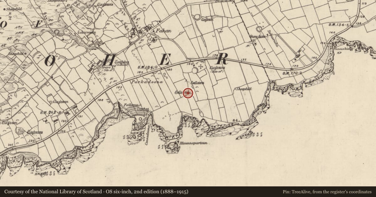 Ordnance Survey six-inch map, 2nd edition (1888–1915) covering the location of Standing stone - pair, Fán, County Kerry, with a pin at the register's coordinates