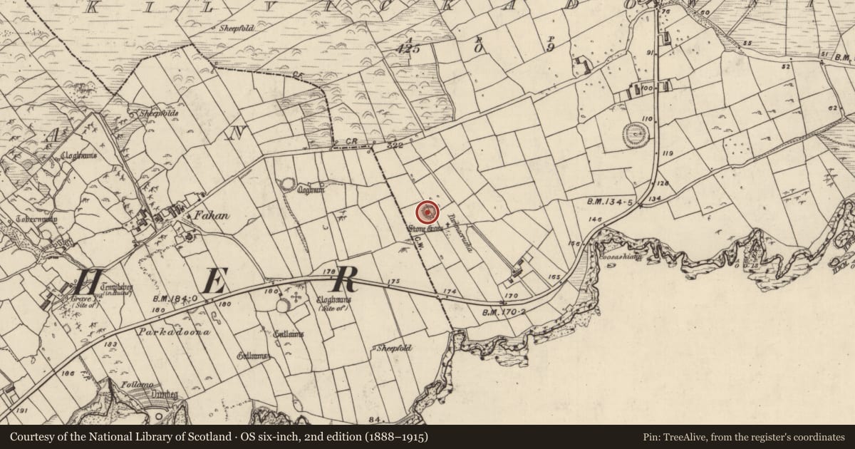 Ordnance Survey six-inch map, 2nd edition (1888–1915) covering the location of Ringfort - cashel, Cill Mhic An Domhnaigh, County Kerry, with a pin at the register's coordinates