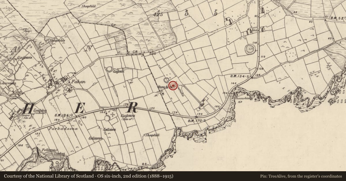 Ordnance Survey six-inch map, 2nd edition (1888–1915) covering the location of Cross, Cill Mhic An Domhnaigh, County Kerry, with a pin at the register's coordinates
