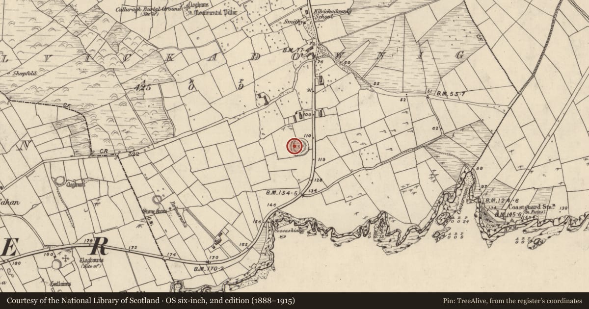Ordnance Survey six-inch map, 2nd edition (1888–1915) covering the location of Hut site, Cill Mhic An Domhnaigh, County Kerry, with a pin at the register's coordinates