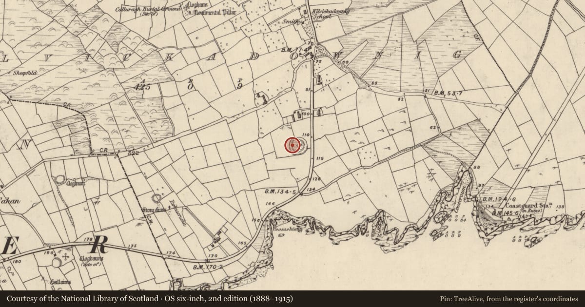 Ordnance Survey six-inch map, 2nd edition (1888–1915) covering the location of Souterrain, Cill Mhic An Domhnaigh, County Kerry, with a pin at the register's coordinates