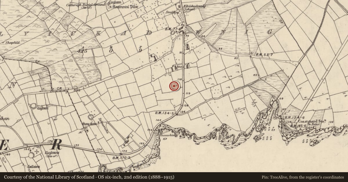 Ordnance Survey six-inch map, 2nd edition (1888–1915) covering the location of Hut site, Cill Mhic An Domhnaigh, County Kerry, with a pin at the register's coordinates