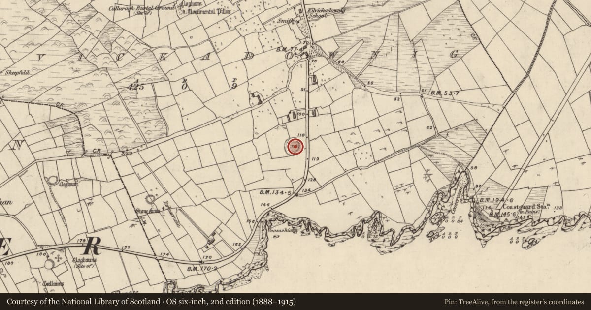 Ordnance Survey six-inch map, 2nd edition (1888–1915) covering the location of Hut site, Cill Mhic An Domhnaigh, County Kerry, with a pin at the register's coordinates