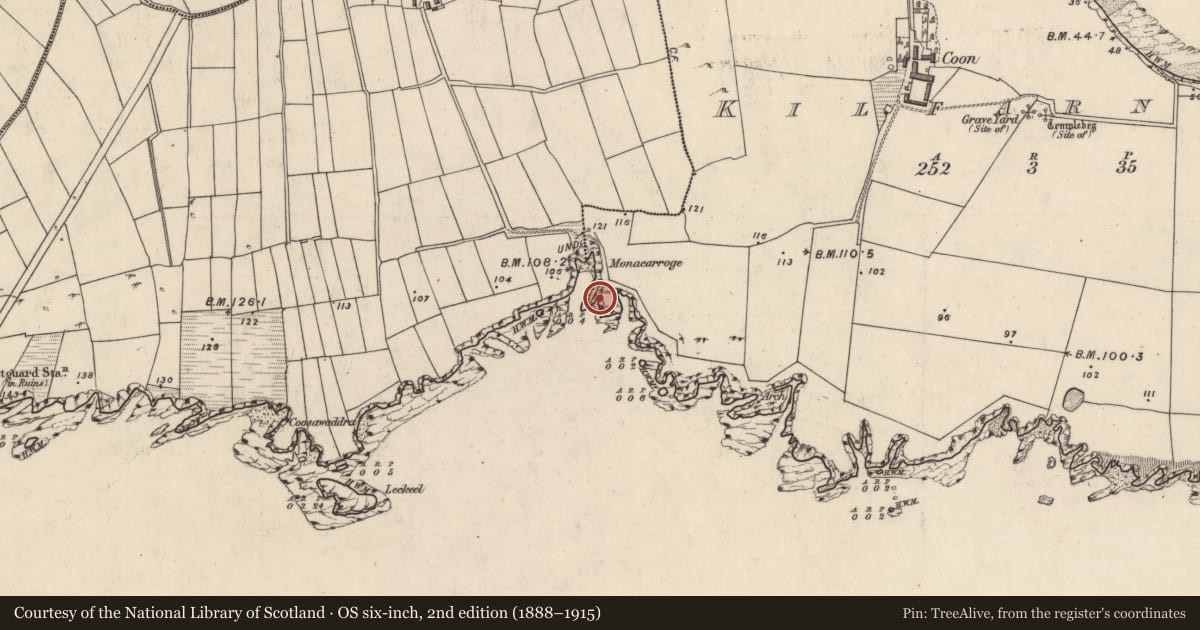 Ordnance Survey six-inch map, 2nd edition (1888–1915) covering the location of Hut site, Cill Fearnóg, County Kerry, with a pin at the register's coordinates