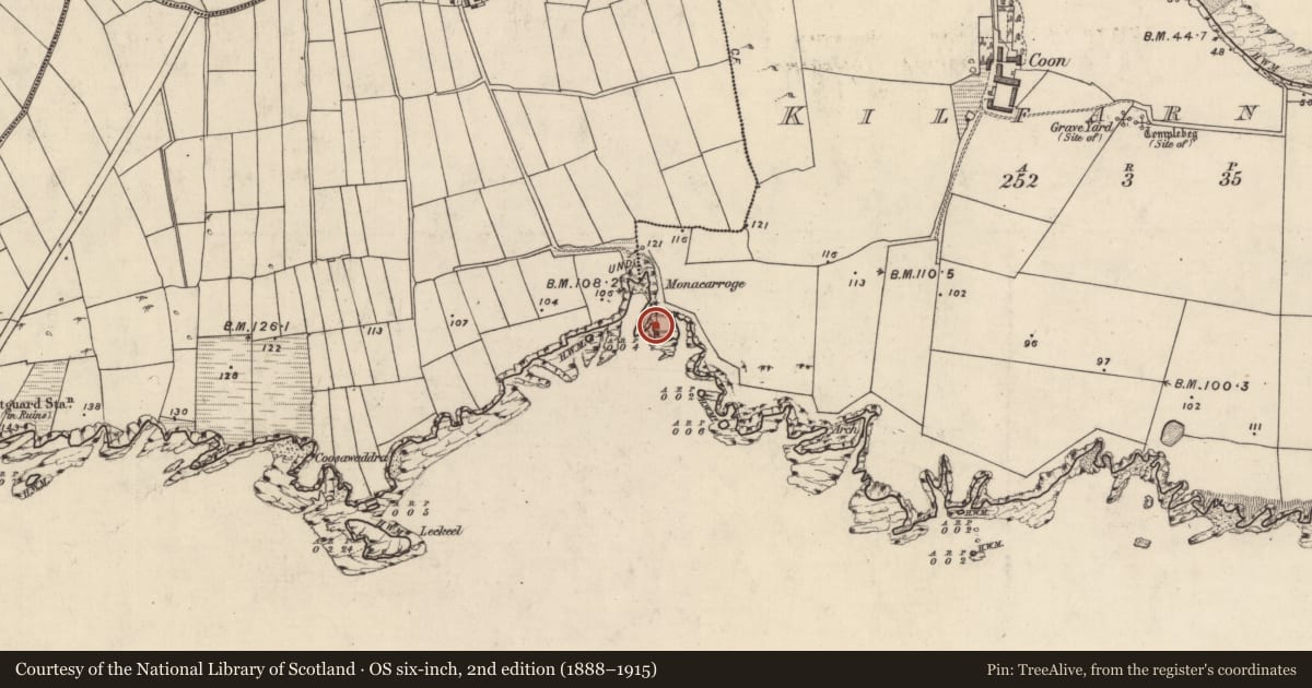 Ordnance Survey six-inch map, 2nd edition (1888–1915) covering the location of Hut site, Cill Fearnóg, County Kerry, with a pin at the register's coordinates