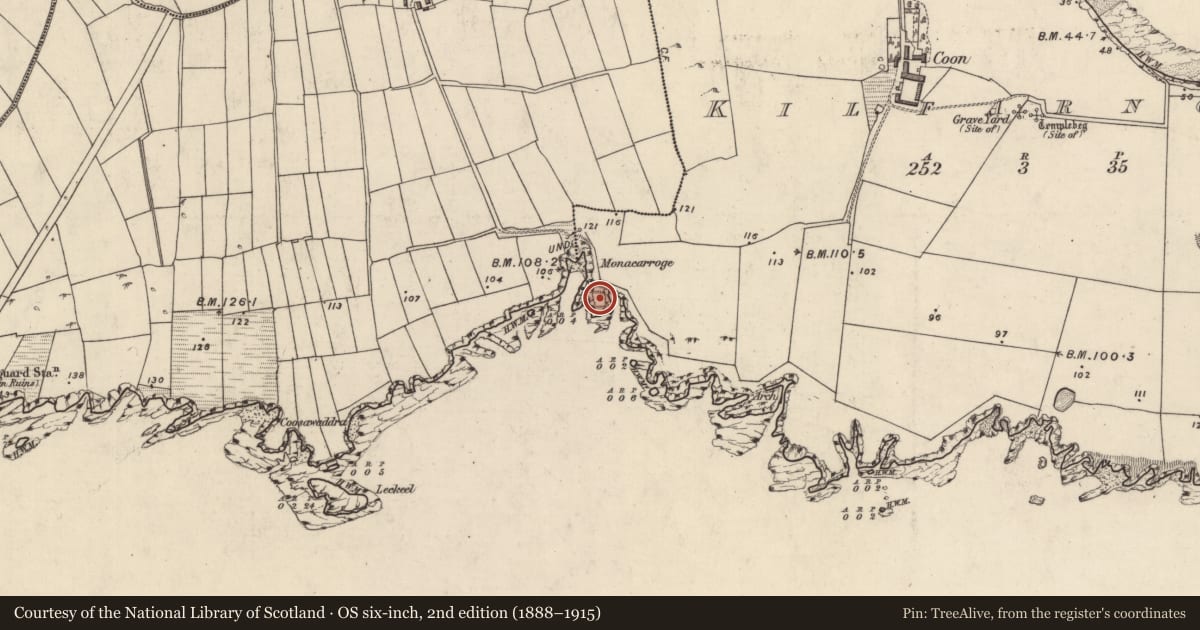 Ordnance Survey six-inch map, 2nd edition (1888–1915) covering the location of Hut site, Cill Fearnóg, County Kerry, with a pin at the register's coordinates