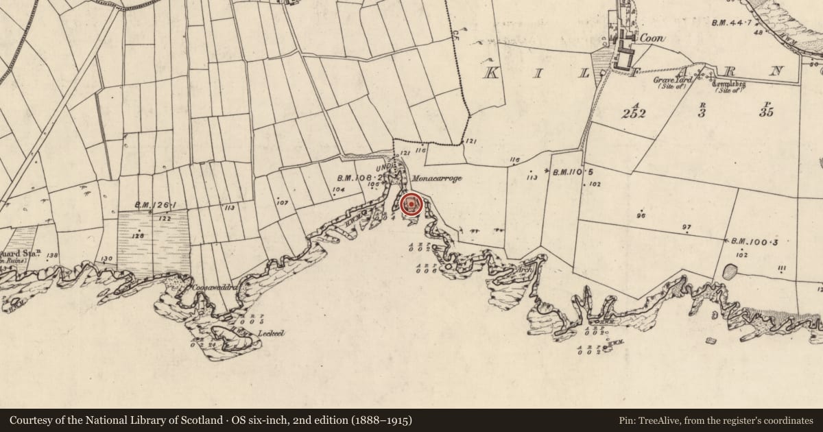 Ordnance Survey six-inch map, 2nd edition (1888–1915) covering the location of Hut site, Cill Fearnóg, County Kerry, with a pin at the register's coordinates