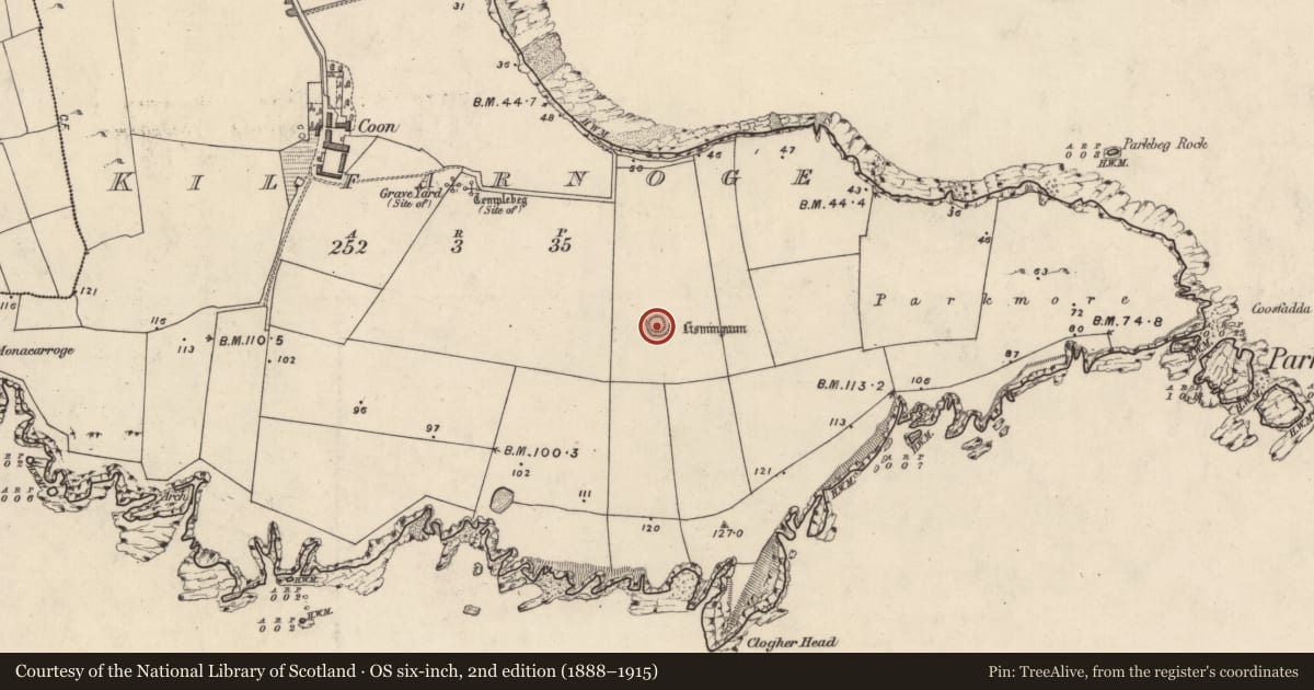 Ordnance Survey six-inch map, 2nd edition (1888–1915) covering the location of Ringfort - rath, Cill Fearnóg, County Kerry, with a pin at the register's coordinates