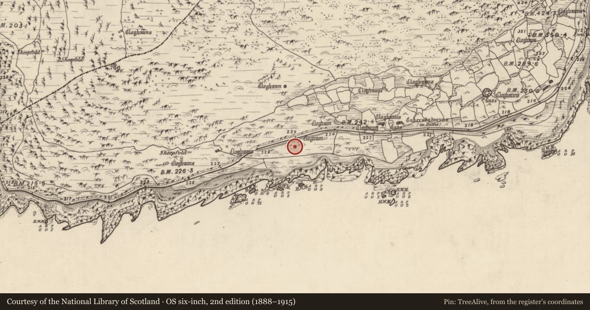 Ordnance Survey six-inch map, 2nd edition (1888–1915) covering the location of Hut site, Gleann Fán, County Kerry, with a pin at the register's coordinates
