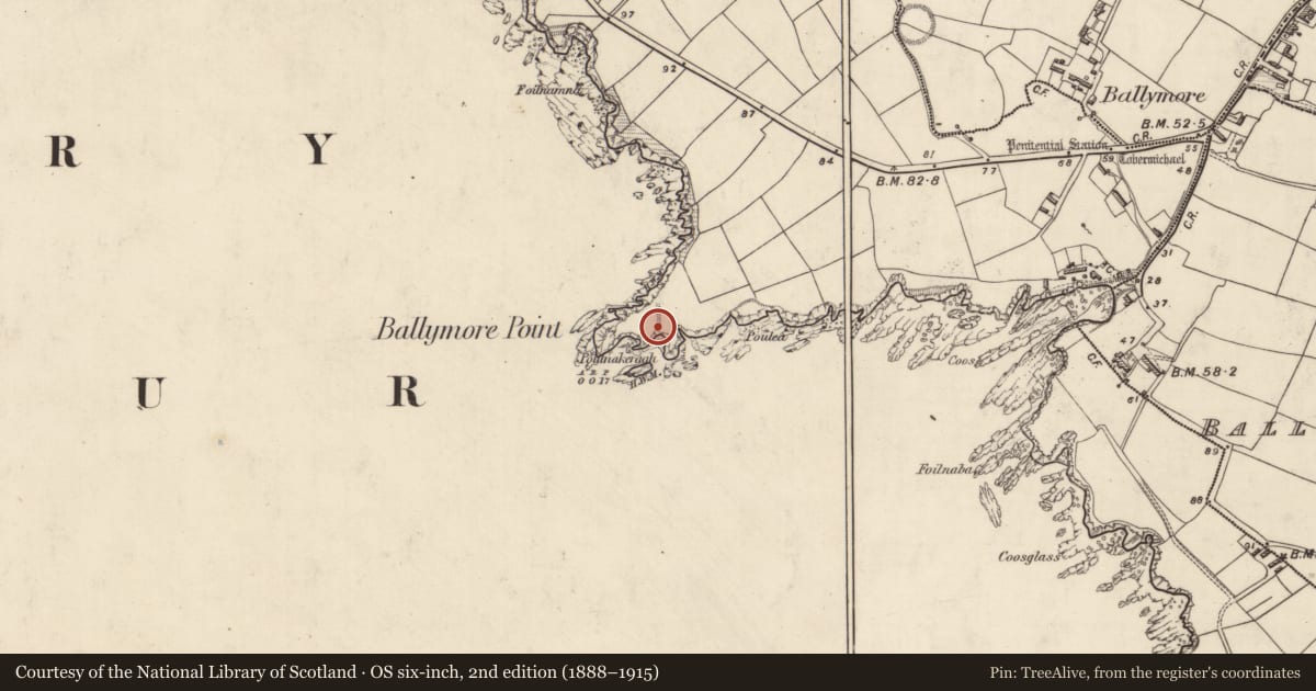 Ordnance Survey six-inch map, 2nd edition (1888–1915) covering the location of Hut site, Baile Mór Thiar, County Kerry, with a pin at the register's coordinates