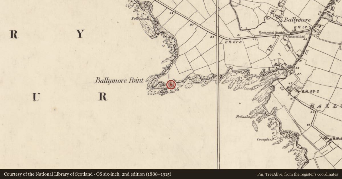Ordnance Survey six-inch map, 2nd edition (1888–1915) covering the location of Hut site, Baile Mór Thiar, County Kerry, with a pin at the register's coordinates