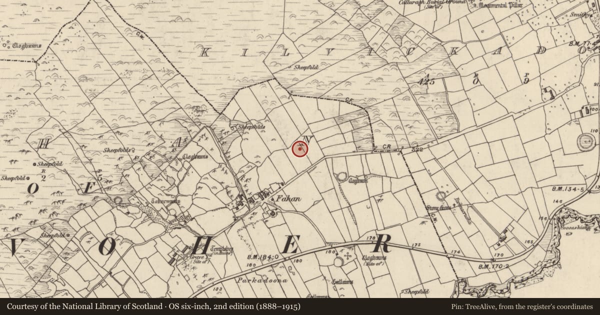 Ordnance Survey six-inch map, 2nd edition (1888–1915) covering the location of Cist, Fán, County Kerry, with a pin at the register's coordinates