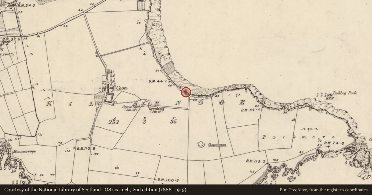 Ordnance Survey six-inch map, 2nd edition (1888–1915) covering the location of Rock art, Cill Fearnóg, County Kerry, with a pin at the register's coordinates