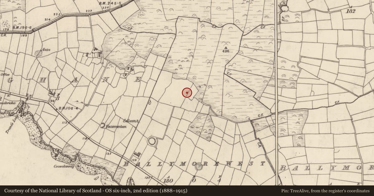 Ordnance Survey six-inch map, 2nd edition (1888–1915) covering the location of Hut site, Baile Mór Thiar, County Kerry, with a pin at the register's coordinates