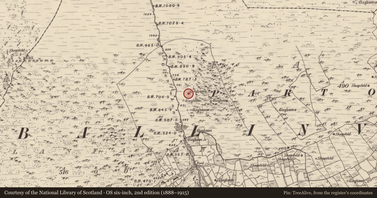 Ordnance Survey six-inch map, 2nd edition (1888–1915) covering the location of Hut site, Fán, County Kerry, with a pin at the register's coordinates