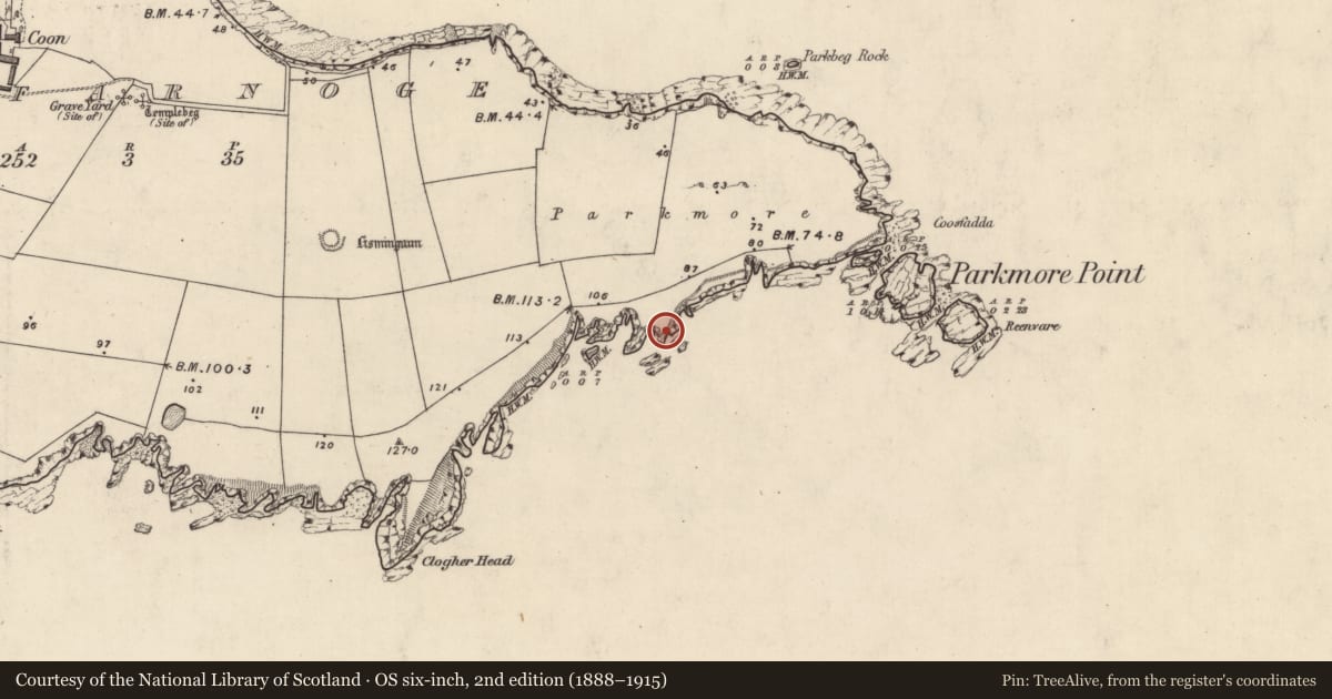 Ordnance Survey six-inch map, 2nd edition (1888–1915) covering the location of Promontory fort - coastal, Cill Fearnóg, County Kerry, with a pin at the register's coordinates