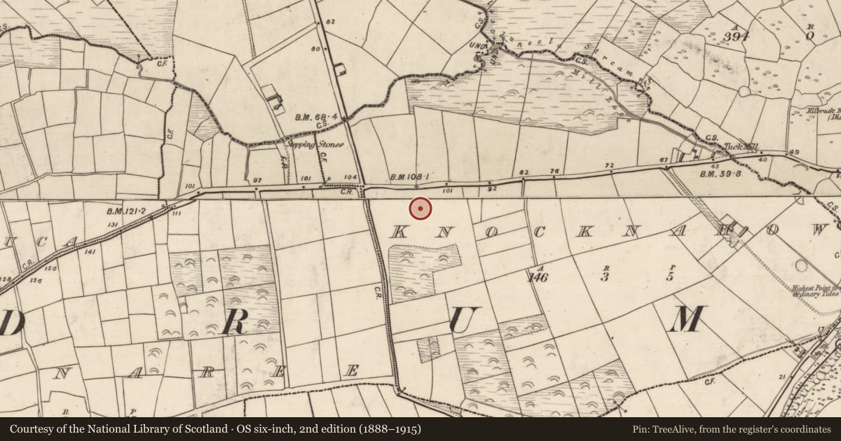 Ordnance Survey six-inch map, 2nd edition (1888–1915) covering the location of Ringfort - rath, Cnoc Na Habha, County Kerry, with a pin at the register's coordinates