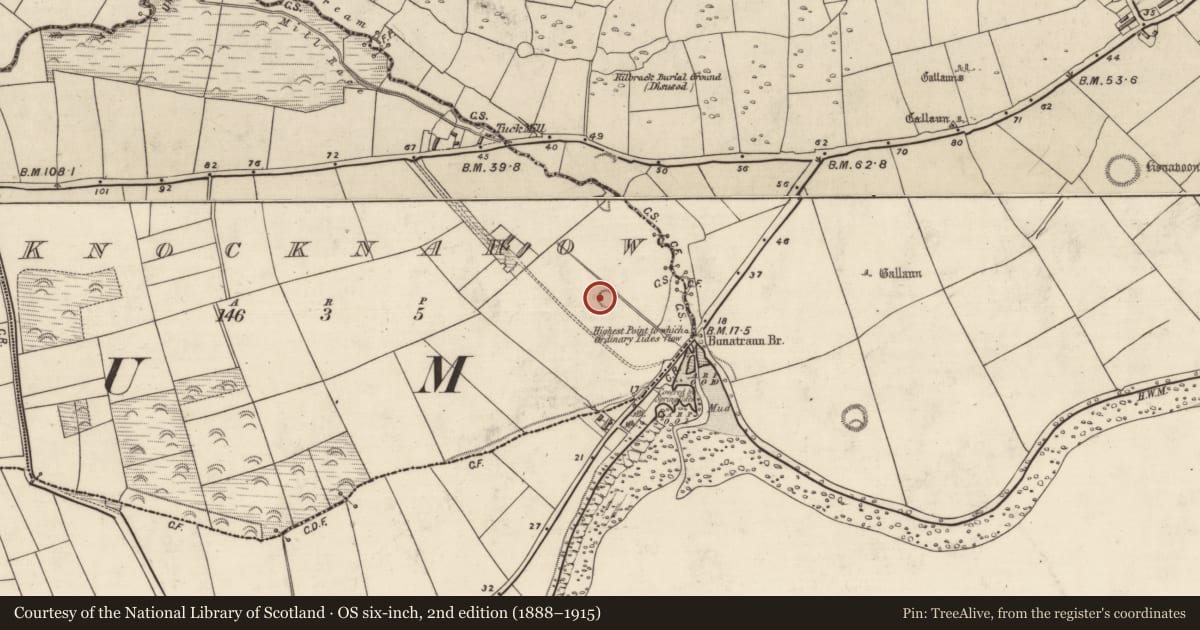Ordnance Survey six-inch map, 2nd edition (1888–1915) covering the location of Ringfort - rath, Cnoc Na Habha, County Kerry, with a pin at the register's coordinates