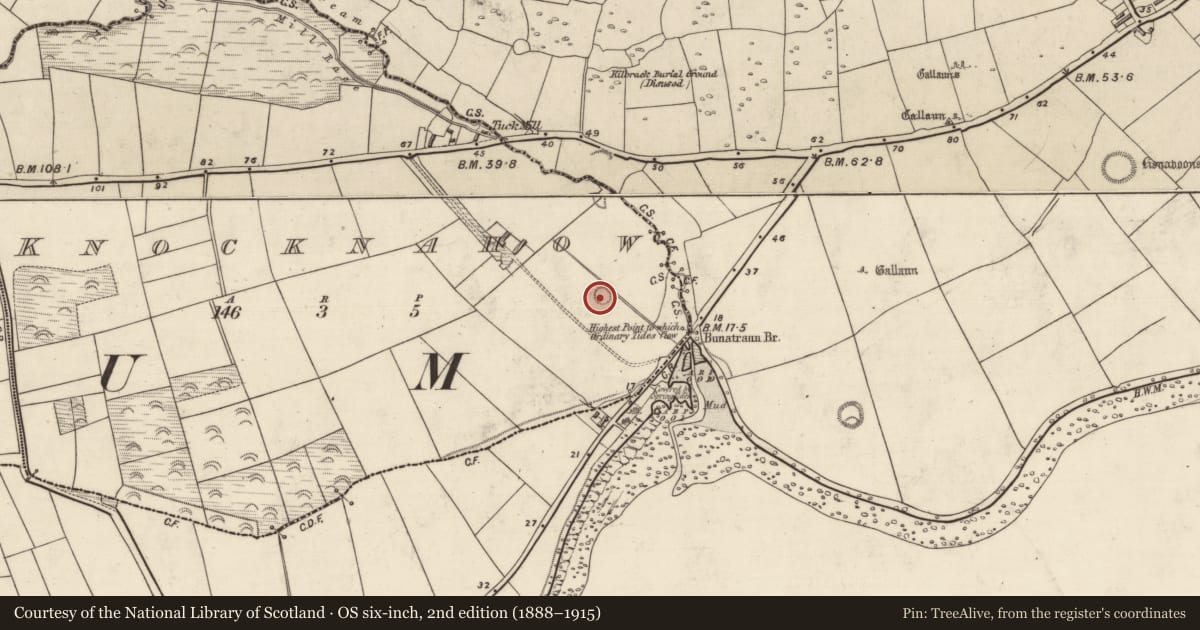Ordnance Survey six-inch map, 2nd edition (1888–1915) covering the location of Souterrain, Cnoc Na Habha, County Kerry, with a pin at the register's coordinates
