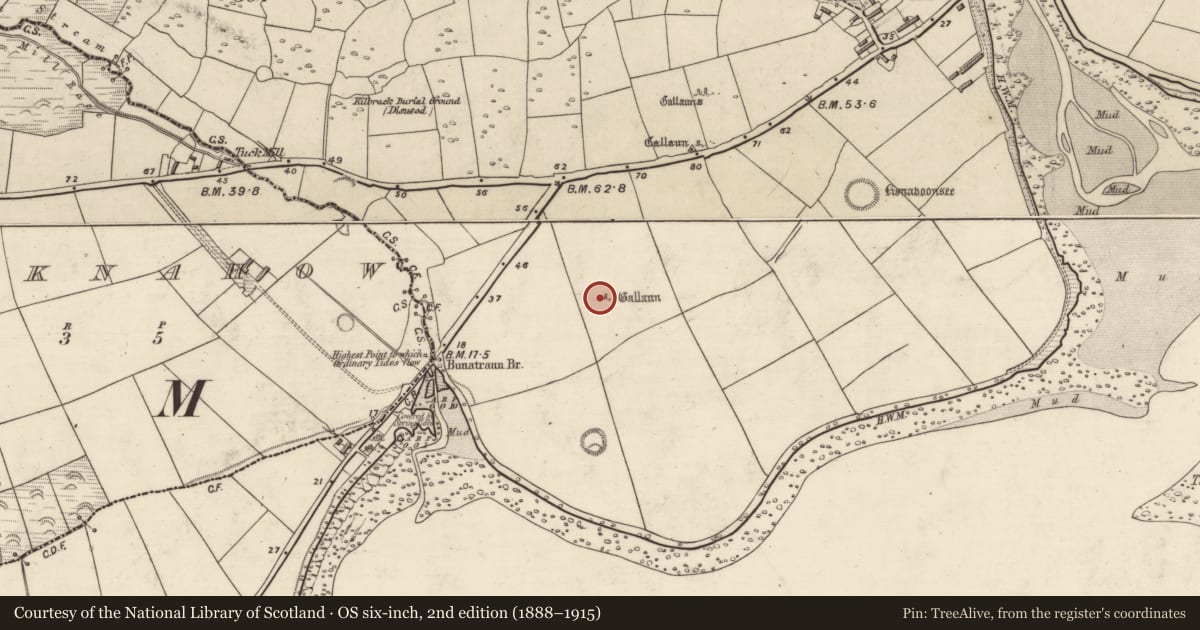 Ordnance Survey six-inch map, 2nd edition (1888–1915) covering the location of Standing stone, Baile An Mhuilinn (Corca Dhuibhne), County Kerry, with a pin at the register's coordinates